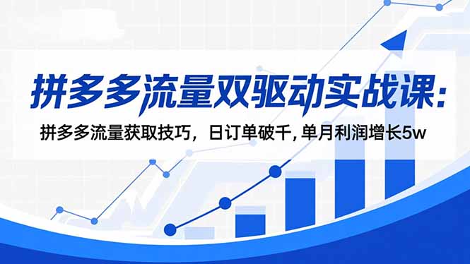 拼多多流量双驱动实战课：拼多多流量获取技巧，日订单破千,单月利润增长5w-鼎铸网