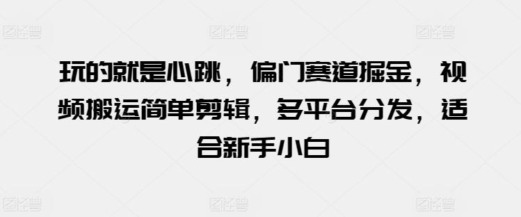 玩的就是心跳，偏门赛道掘金，视频搬运简单剪辑，多平台分发，适合新手小白【揭秘】-鼎铸网