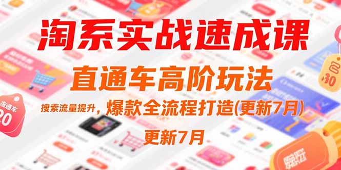 6125bd3d5aa1feefa8177db27d235abb.jpeg 淘系实战速成课,直通车高阶玩法,搜索流量提升,爆款全流程打造(更新7月