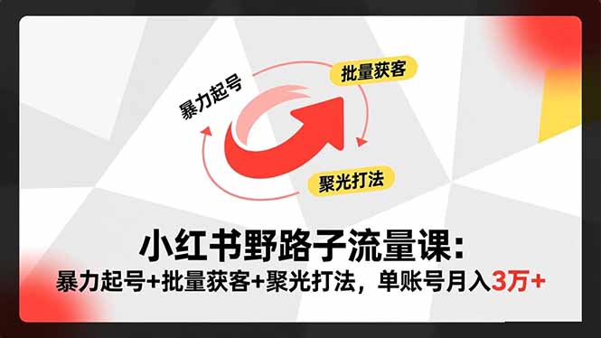 小红书野路子流量课：暴力起号+批量获客+聚光打法，单账号月入3万+-鼎铸网