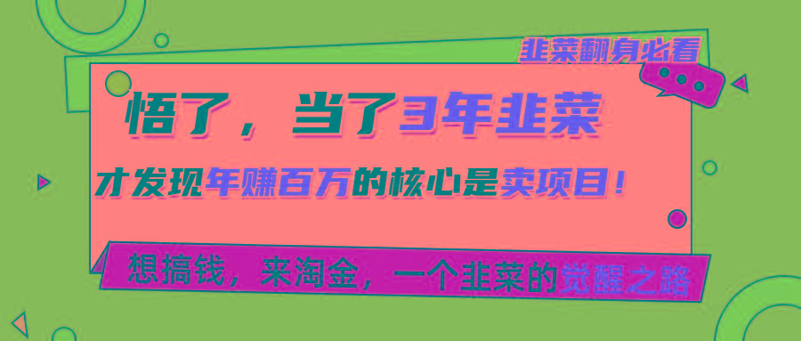 悟了，当了3年韭菜，才发现网赚圈年赚100万的核心是卖项目，含泪分享！-鼎铸网