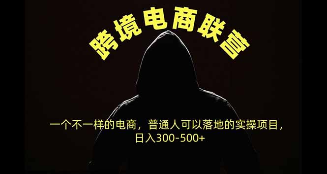 跨境电商联营，一个不一样的电商，普通人可操作日入300-500+-鼎铸网