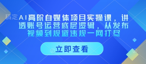 62448dfeea39d35bfd4cc07b779a4b19.jpeg AI高阶自媒体项目实操课,讲透账号运营底层逻辑,从发布视频到规避违规一网打尽