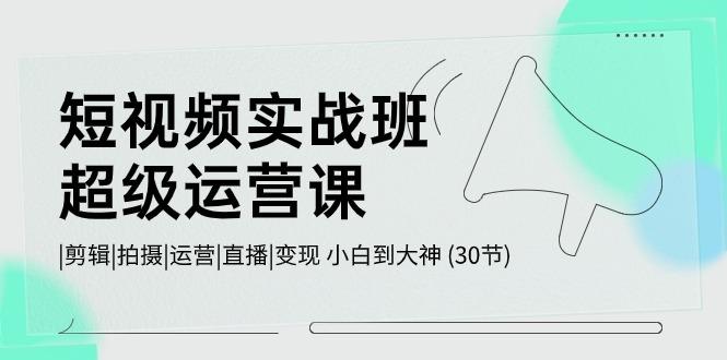 短视频实战班超级运营课 |剪辑|拍摄|运营|直播|变现 小白到大神 (30节)-鼎铸网