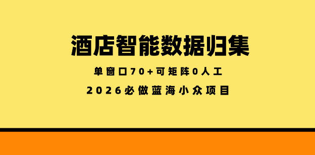 酒店智能数据归集,小众蓝海已经稳定半年之久,单窗口70+零成本矩阵开干【揭秘】-鼎铸网