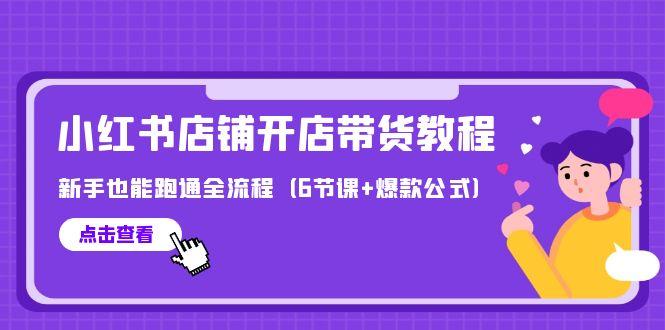 (9883期)最新小红书店铺开店带货教程，新手也能跑通全流程(6节课+爆款公式)-鼎铸网