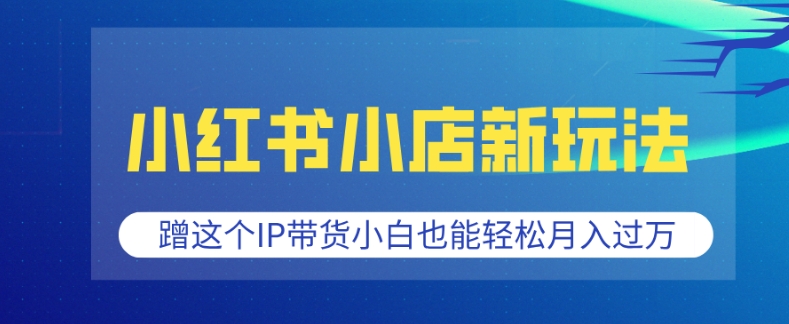669f16176f6fabaec31bc77133f3c855.jpeg 小红书小店新玩法,蹭这个IP带货,小白也能轻松月入过W【揭秘】