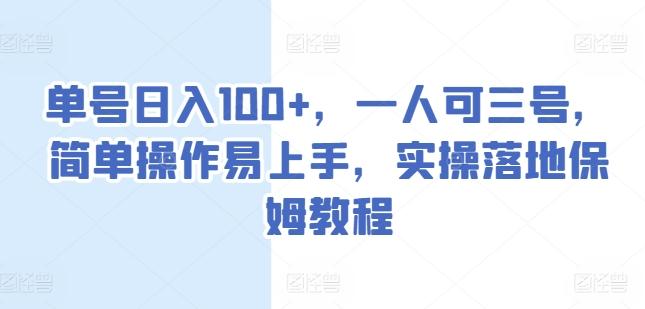 单号日入100+，一人可三号，简单操作易上手，实操落地保姆教程【揭秘】-鼎铸网
