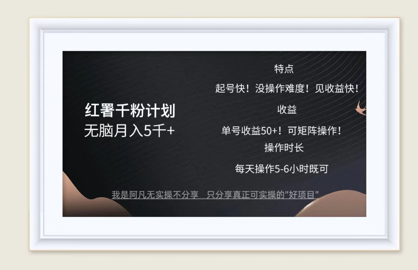 红薯千粉计划无脑月入5千+！既做既赚！-鼎铸网