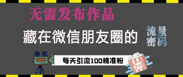 藏在微信朋友圈的流量密码,无需发布作品,单日引流100+精准创业粉【揭秘】-鼎铸网