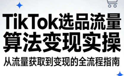 TikTok选品流量算法变现实操-鼎铸网
