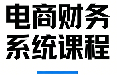 郑老师·电商财务系统课程-鼎铸网