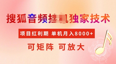 全网首发搜狐音频挂JI独家技术，项目红利期，可矩阵可放大，稳定月入8k【揭秘】-鼎铸网