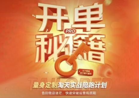 天下网商·淘宝天猫陪跑计划(更新7月)-鼎铸网