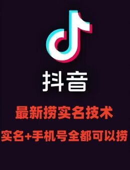 最新技术抖音捞实名+捞手机号技术，抖音直播封禁释放十名/手机号，直接替换出来!-鼎铸网