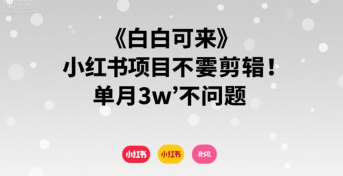 6933f72a3a65a3dc53ce91149a730148.jpeg 小白可来 小红书项目不需要剪辑 单月3w不是问题