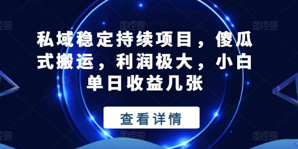 私域稳定持续项目，傻瓜式搬运，利润极大，小白单日收益几张【揭秘】-鼎铸网