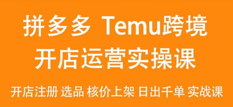 6baa16c660eb84125453de7f2b4e1dda.jpeg 2024Temu最新玩法,Temu跨境开店运营实操课,开店注册/选品/核价上架/日出千单实战课