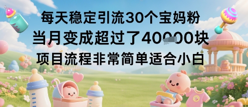 每天稳定引流30个宝妈粉当月变成超过了1W+项目流程非常简单适合小白-鼎铸网
