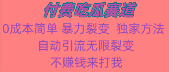 吃瓜付费赛道，暴力无限裂变，0成本，实测日入700+！！！-鼎铸网