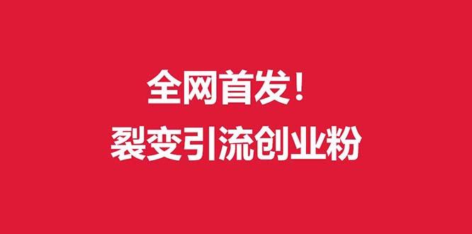 (全网首发)外面收费几千的裂变引流高质量创业粉-鼎铸网