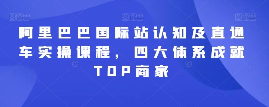 6c1138cc9c325ee9f0b97fae959436b3.jpeg 阿里巴巴国际站认知及直通车实操课程,四大体系成就TOP商家