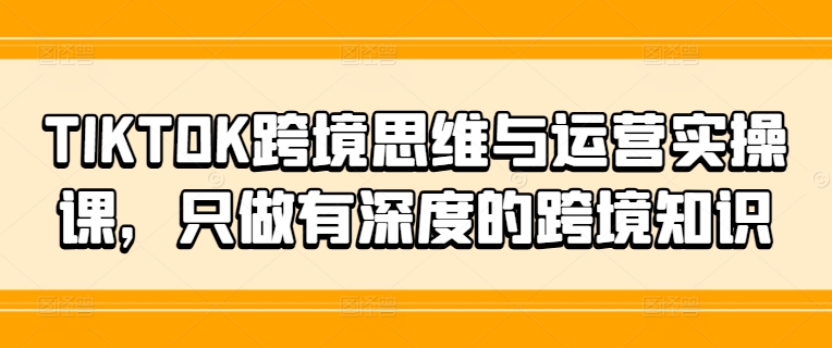 TIKTOK跨境思维与运营实操课，只做有深度的跨境知识-鼎铸网