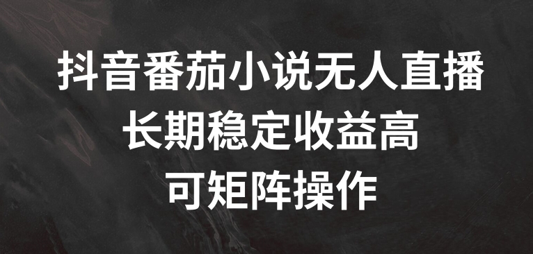 抖音番茄小说无人直播，长期稳定收益高，可矩阵操作【揭秘】-鼎铸网