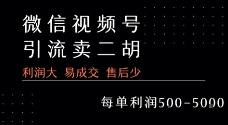 6ca01d166aafc12ebc37392bff90f86f.jpeg 视频号卖二胡教程,利润大 易成交 售后少,一单利润5张+