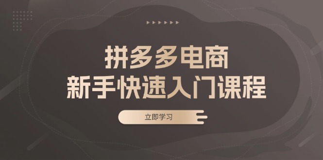 拼多多电商新手快速入门课程：涵盖基础、实战与选款，助力小白轻松上手-鼎铸网
