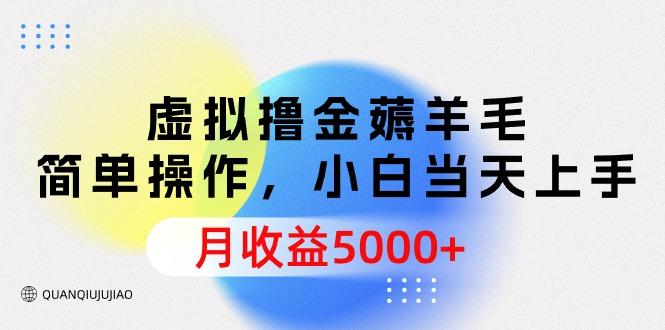 (9864期)虚拟撸金薅羊毛，简单操作，小白当天上手，月收益5000+-鼎铸网