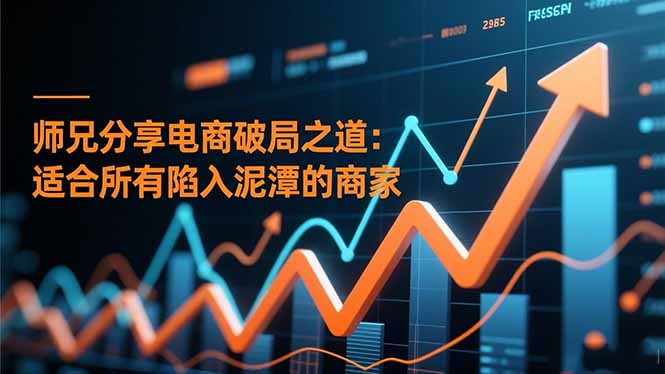 师兄分享电商破局之道：适合所有陷入泥潭的商家-鼎铸网