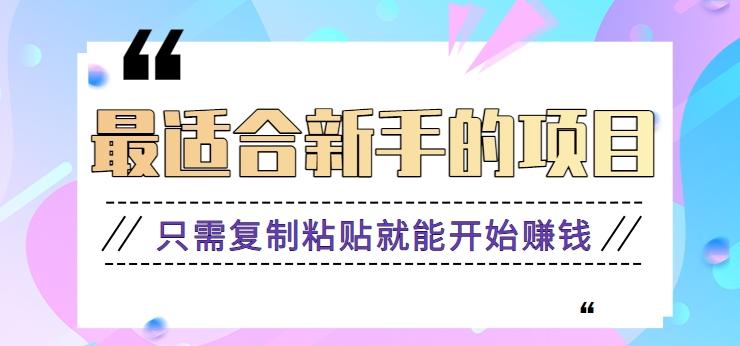 2024最适合新手操作的项目,新手小白只需复制粘贴就能开始赚钱【视频教程+软件】-鼎铸网