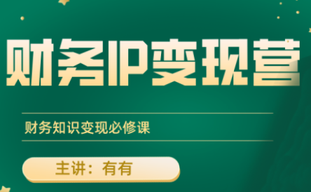 有有老师·财务IP变现营,财务知识变现必修课-鼎铸网