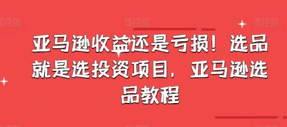 亚马逊收益还是亏损！选品就是选投资项目，亚马逊选品教程-鼎铸网