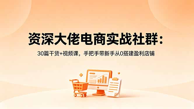 资深大佬电商实战社群:30篇干货+视频课,手把手带新手从0搭建盈利店铺-鼎铸网