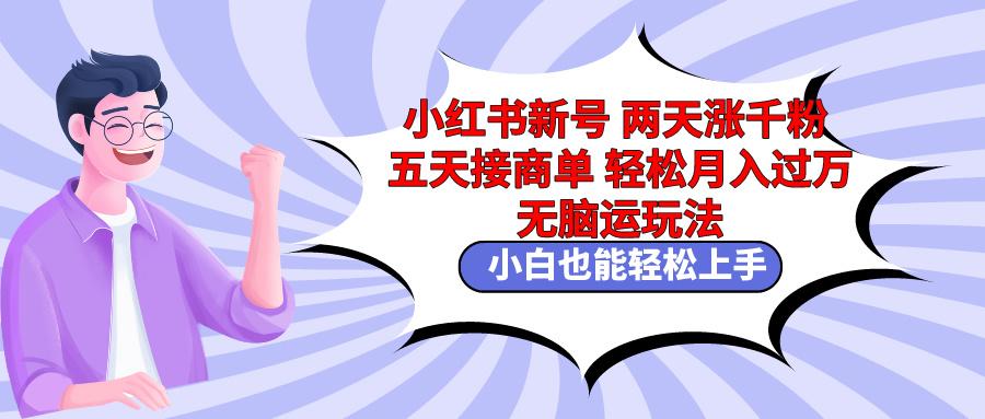 小红书新号两天涨千粉五天接商单轻松月入过万 无脑搬运玩法 小白也能轻…-鼎铸网