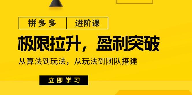 拼多多·进阶课：极限拉升/盈利突破：从算法到玩法 从玩法到团队搭建-18节-鼎铸网