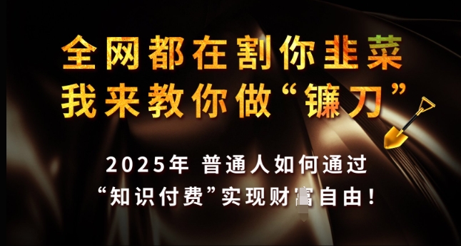 全网都在割你韭菜,我来教你做镰刀,2025年普通人如何通过 知识付费 实现财F自由【揭秘】-鼎铸网