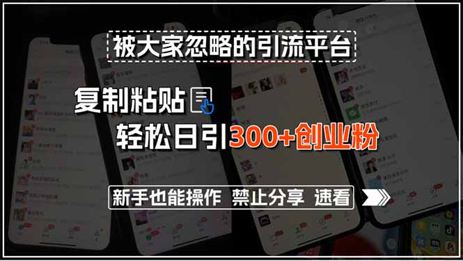 被大家忽略的引流平台,复制粘贴轻松日引300+创业粉,新手也能操作,禁...-鼎铸网