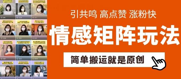 简单搬运，情感矩阵玩法，涨粉速度快，可带货，可起号【揭秘】-鼎铸网
