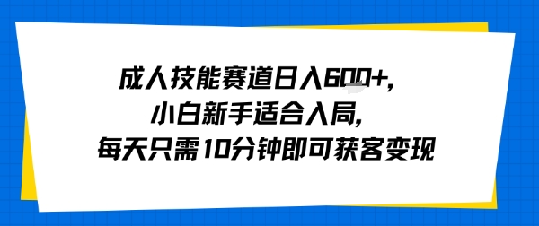成人技能赛道日入多张,小白新手适合入局,每天只需10分钟即可获客变现-鼎铸网