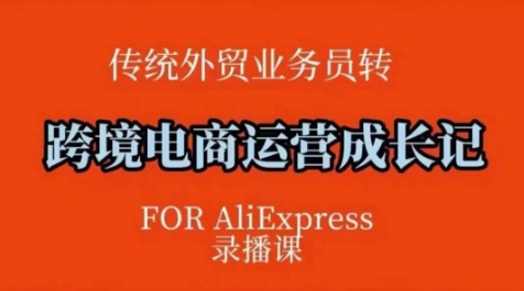 跨境电商速卖通运营课，​运营方法论+后台实操，逻辑清晰-鼎铸网