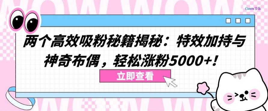 74a0675da44a5ea031a5f24733e97606.jpeg 两个高效吸粉秘籍揭秘:特效加持与神奇布偶,轻松涨粉5000+【揭秘】