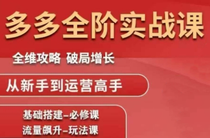 大炮·拼多多全阶实战课程(更新2026)-鼎铸网
