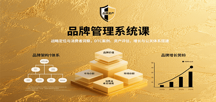 品牌管理系统课：战略定位与消费者洞察，DTC案例、资产评估，增长与公关体系搭建-鼎铸网