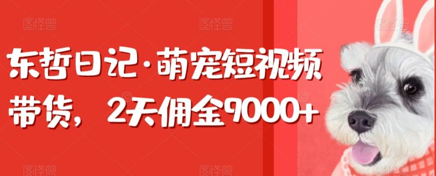 东哲日记·萌宠短视频带货，2天佣金9000+-鼎铸网