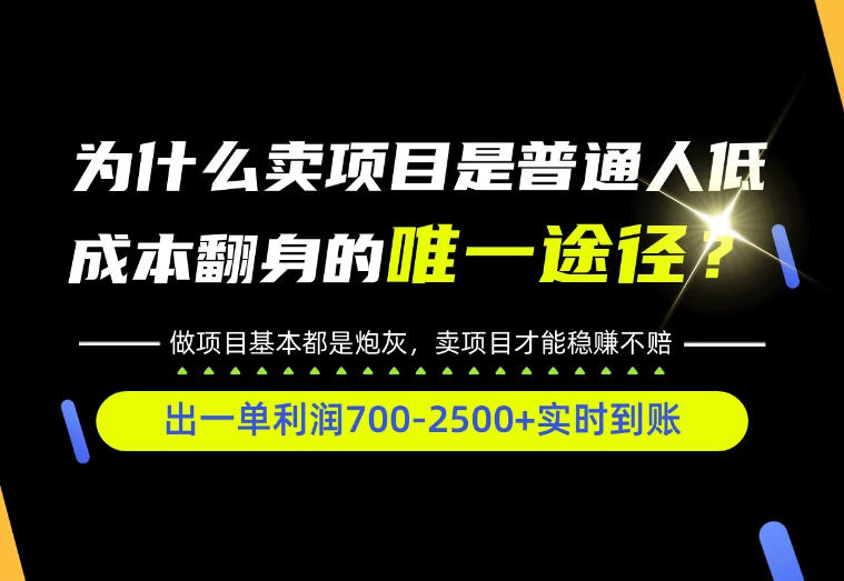 普通人如何靠互联网賺取自己的第一桶金!全类目实操型教学,看完你全都懂了!【揭秘】-鼎铸网