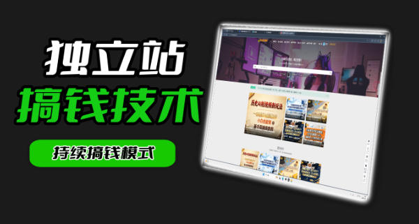 干货来袭！麦子甜带你吃透独立站｜从搭建到引流一站式教学《独立站》第一期-鼎铸网