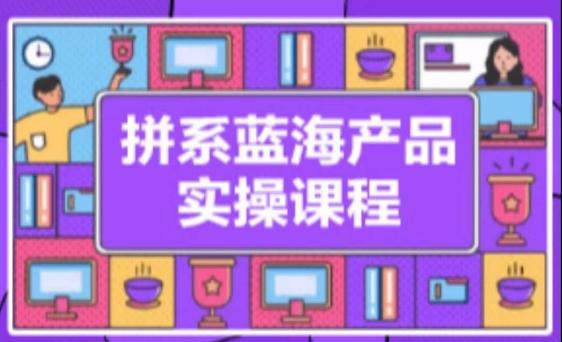 拼系冷门蓝海产品实操课程，从注册店铺到选品上架到流量维护环环相扣-鼎铸网